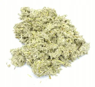 SZAROTA BŁOTNA ZIELE CIĘTE 200 G 100% NATURALNY - Przyprawy i zioła sypkie - miniaturka - grafika 1