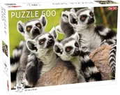Puzzle - Tactic Puzzle 500 Animals: Lemurs - miniaturka - grafika 1