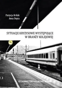 Królak Patrycja, Depta Anna Sytuacje kryzysowe występujące w branży kolejowej - dostępny od ręki, natychmiastowa wysyłka - Zarządzanie - miniaturka - grafika 2