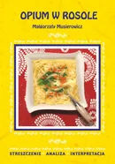 Opium w rosole Małgorzaty Musierowicz. Streszczenie, analiza, interpretacja