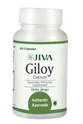 Suplementy diety - JIVA AYURVEDA JIVA Ayurveda Giloy 60 k. układ oddechowy DV8501 - miniaturka - grafika 1