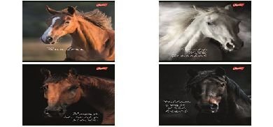 Paczka Zeszyt A5 60K.Krata Okładka Laminowana Wild Heart Mix 10 Sztuk
