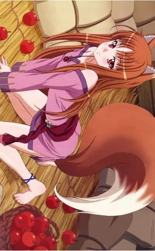 Plakat Anime Spice and Wolf saw_053 A1+ (custom)