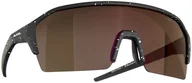 Okulary sportowe - Alpina Alpina Ram HR HM+ Glasses, black blur matt/red mirror  2021 Okulary 8675031 - miniaturka - grafika 1