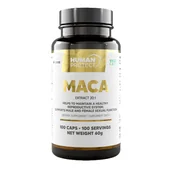 Witaminy i minerały - Human Protect MACA 500mg Extract 20:1 100vcaps Witalność - miniaturka - grafika 1