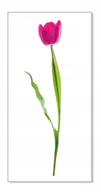 Naklejki na ścianę - Naklejki ścienne kwiaty mat Tulipan 11, 100x55 cm - miniaturka - grafika 1