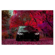 Dekoracje sali - Baner 120x80 Czarne BMW Jesień - miniaturka - grafika 1