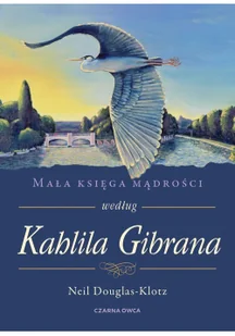 Mała księga mądrości według Kahlila Gibrana - Poezja - miniaturka - grafika 2