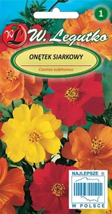 KOSMOS „ONĘTEK” SIARKOWY (COSMOS SULPHUREUS) NASIONA 1 G - Nasiona i cebule - miniaturka - grafika 1