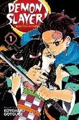 Obcojęzyczna fantastyka i horror - Koyoharu Gotouge Demon Slayer Kimetsu no Yaiba Vol 1 - miniaturka - grafika 1