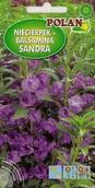 Nasiona i cebule - Niecierpek balsamina Sandra 2 g POLAN - miniaturka - grafika 1