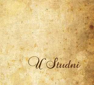 U Studni (z bonusem) - Poezja śpiewana - miniaturka - grafika 1