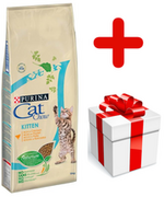 Sucha karma dla kotów - Purina Cat Chow Kitten Chicken 15 kg - miniaturka - grafika 1