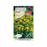 Nasiona i cebule - Nasiona Dziurawiec zwyczajny, Hypericum perforatum 0,2g - Torseed - miniaturka - grafika 1