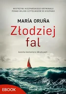 E-booki - thrillery - Złodziej fal - miniaturka - grafika 1