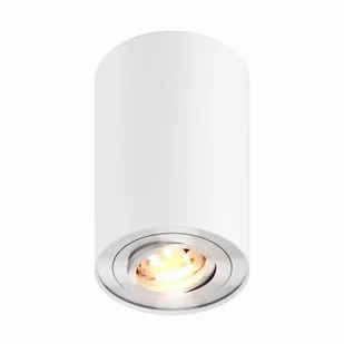 RONDOO SL 1 UP SPOT BIAŁY/WHITE 45519 - Lampy pozostałe - miniaturka - grafika 1