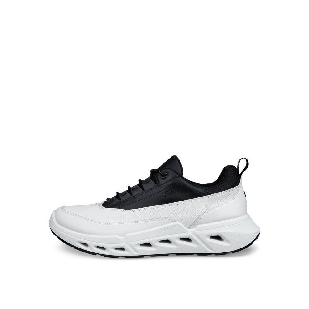 Buty Ecco Biom 720 GTX 85030451222