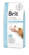 Sucha karma dla psów - Brit Grain Free Veterinary Diets Obesity 2 kg - miniaturka - grafika 1