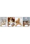 Zeszyty szkolne - zeszyt a5/32k linia the sweet pets (10szt) - miniaturka - grafika 1