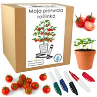 Nasiona i cebule - Prezent dla dzieci zestaw mały ogrodnik roślinka - miniaturka - grafika 1