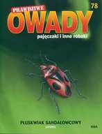 Czasopisma - Prawdziwe Owady Pajęczaki i Inne Robaki Reedycja - miniaturka - grafika 1