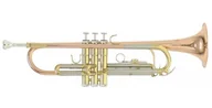 Instrumenty dęte - Roy Benson Roy benson BB trąbki Mod.TR-202G goldmessing lakierowany, w zestawie: etui RB701075 - miniaturka - grafika 1