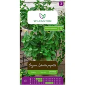 Nasiona i cebule - Oregano Lebiodka pospolita nasiona ziół W.Legutko - miniaturka - grafika 1