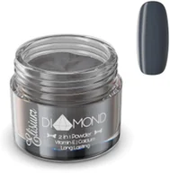 Utwardzacze do paznokci - Elisium, Diamond, puder do manicure tytanowego DS308 Black Friday, 23 g - miniaturka - grafika 1
