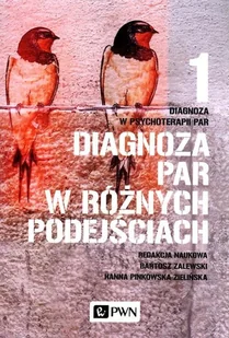 Wydawnictwo Naukowe PWN Diagnoza w psychoterapii par. Tom 1. Diagnoza par w różnych podejściach - Psychologia - miniaturka - grafika 1