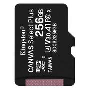 Karty pamięci - KINGSTON 256GB microSDXC Canvas Select Plus 100R A1 C10 Single Pack w/o ADP - miniaturka - grafika 1