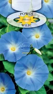 Nasiona i cebule - POWÓJ PNĄCY NIEBIESKI 2g - miniaturka - grafika 1