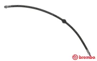 Przewody hamulcowe - BREMBO Przewód hamulcowy giętki BREMBO T59078 4620100QAH T59078 - miniaturka - grafika 1