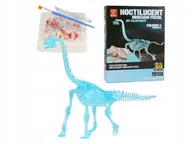 Mały naukowiec - SKAMIELINA DINOZAUR BRACHIOZAUR MODEL SZKIELETU ŚWIECĄCY W CIEMNOŚCI - miniaturka - grafika 1