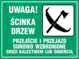 OB003 UWAGA! ŚCINKA DRZEW - PRZEJŚCIE I PRZEJAZD SUROWO WZBRONIONY, PN - PŁYTA PCV 1MM; (400X300MM) - Tablice BHP - miniaturka - grafika 1