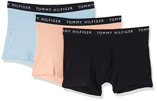 Tommy Hilfiger Męskie szorty, Des Sky/Sft Nec/Iceberg, M - Spodenki damskie - miniaturka - grafika 1