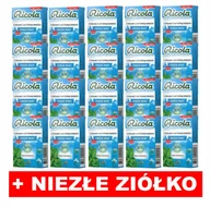 Cukierki - NOWOŚĆ! Ricola Fresh Mint 27,5g (op. zbiorcze 20szt) - miniaturka - grafika 1