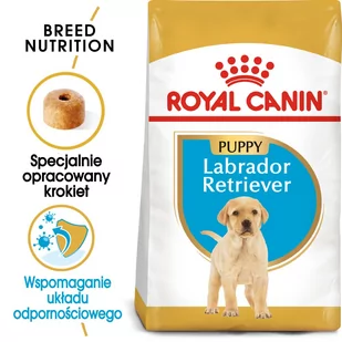 Royal Canin Labrador Retriever Junior 3 kg - Sucha karma dla psów - miniaturka - grafika 1