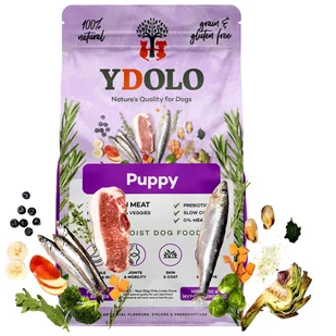Ydolo Healthy Pure Puppy Wieprzowina Iberico I Ryby 2,5Kg - Sucha karma dla psów - miniaturka - grafika 1