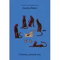Ciemno prawie noc wyd.4 Joanna Bator - Powieści - miniaturka - grafika 1