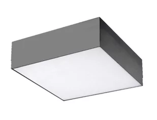 Azzardo Monza AZ3684 plafon lampa sufitowa 1x18W LED czarny - Lampy sufitowe - miniaturka - grafika 1