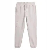 Spodnie męskie - 4F Spodnie Męskie Dresowe Ttrom137 L - miniaturka - grafika 1