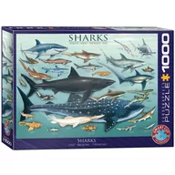 Puzzle - Eurographics Puzzle 1000 Sharks 6000-0079 - - miniaturka - grafika 1