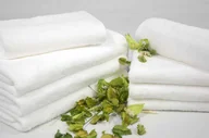 Ręczniki - Faro Ręcznik Lemon 70x140 Frotte Ecru 500g - miniaturka - grafika 1