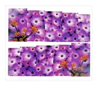 Ozdoby do paznokci - Allepaznokcie Naklejki wodne do paznokci arkusz 6,5 x 5,5 cm na 10 palców Nr 1588 - miniaturka - grafika 1