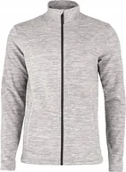 Bluzy męskie - Polar męski 4F M262 jasny szary L - miniaturka - grafika 1