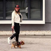 Smycze dla psów - Haas F1 Team For fan pets Minnie S - miniaturka - grafika 1