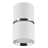 Lampy sufitowe - Sufitowa lampa punktowa tuba Dior 04253 Ideus natynkowa biała chromowana - miniaturka - grafika 1