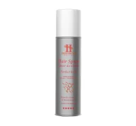 Kosmetyki do stylizacji włosów - HEGRON HAIR SPRAY PERFECT HOLD LAKIER DO WŁOSÓW SUPER STRONG 250ML - miniaturka - grafika 1