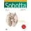 Książki medyczne - Atlas anatomii człowieka Sobotta. Angielskie mianownictwo. Tom 3. Głowa, szyja i układ nerwowy - miniaturka - grafika 1