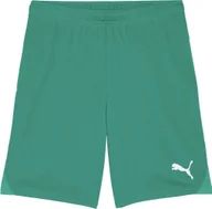 Spodnie sportowe męskie - Spodenki męskie Puma Team Goal zielone 705752 05 XL - miniaturka - grafika 1